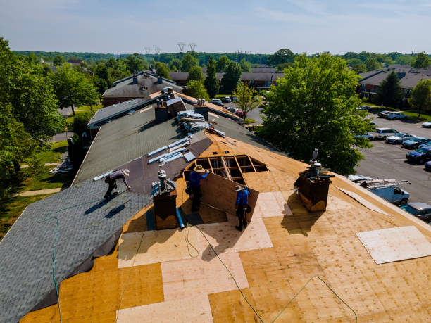 Trusted Roof Replacement service in Westfall, OR - Brentwood Metal Roofing